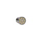 Żarówka 8 LED R5W BA15s 24V