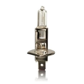 Żarówka 12V H1 55W 1 sztuka