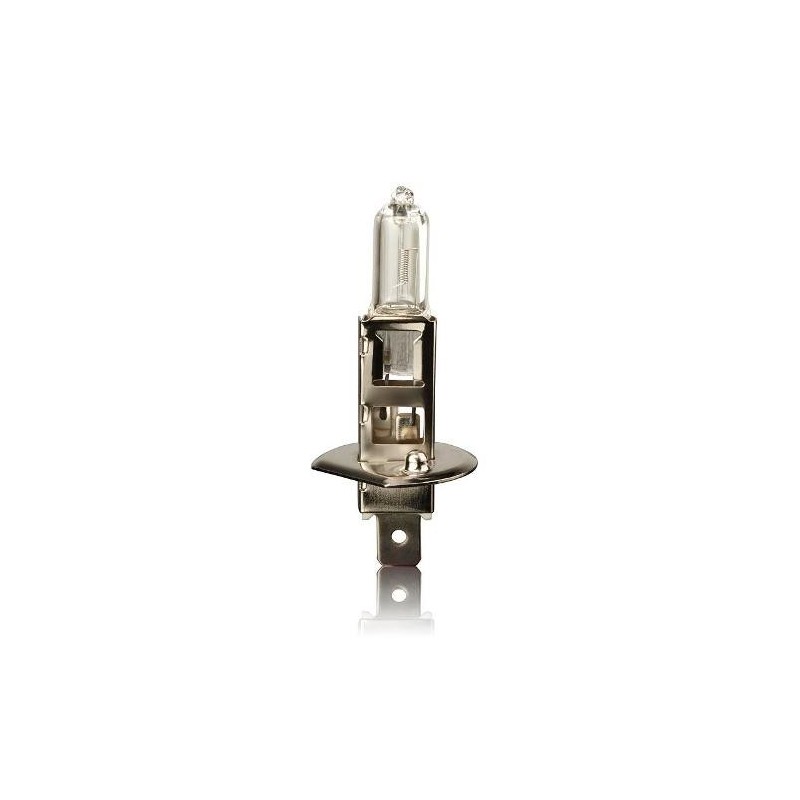 Żarówka 12V H1 55W 1 sztuka