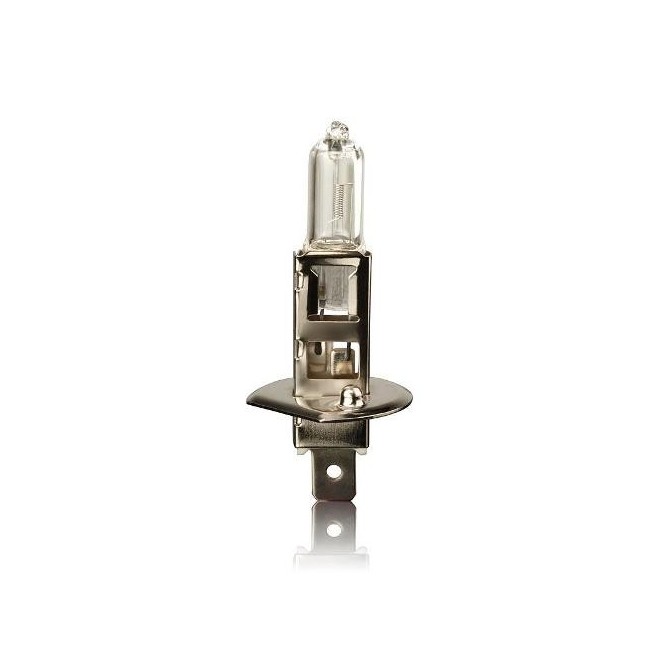 Żarówka 12V H1 55W 1 sztuka