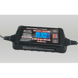 Prostownik 8A max do 240 Ah 12 V / 120 Ah 24 V