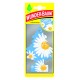 Choinka zapach Wunder-Baum Daisy Chein